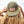 Corduroy Snapback Hat | Grateful Every Day