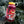 Magical Mushrooms Nalgene 32oz Water Bottle